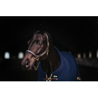 Capezza e longhina in cuoio Equestrian Stockholm con catena Marina Blu marino