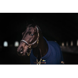 Capezza e longhina in cuoio Equestrian Stockholm con catena Nazione svedese