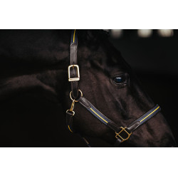 Capezza e longhina in cuoio Equestrian Stockholm con catena Nazione svedese