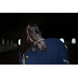 Capezza e longhina in cuoio Equestrian Stockholm con catena Nazione svedese