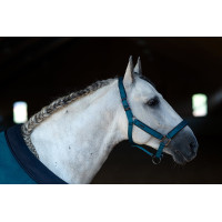 Capestro e lunghina Equestrian Stockholm Blu aurora Capestro e lunghina Equestrian Stockholm Blu aurora