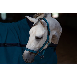 Capestro e lunghina Equestrian Stockholm Blu aurora Capestro e lunghina Equestrian Stockholm Blu aurora