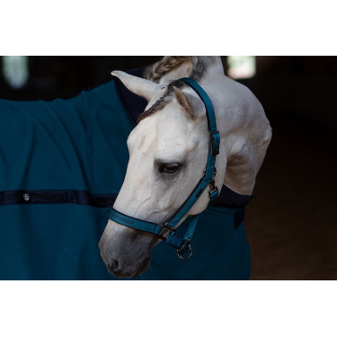 Capestro e lunghina Equestrian Stockholm Blu aurora Capestro e lunghina Equestrian Stockholm Blu aurora