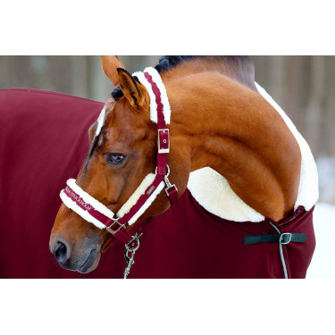Capezza e lunghina Equestrian Stockholm con pelliccia Bordeaux Capezza e lunghina Equestrian Stockholm con pelliccia Bordeaux