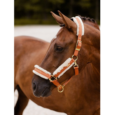 Capezza e lunghina Equestrian Stockholm con pelliccia Bronzo oro