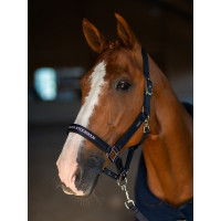 Capezza e lunghina Equestrian Stockholm piatta Tecnologia moderna marina Capezza e lunghina Equestrian Stockholm piatta Tecnologia moderna marina