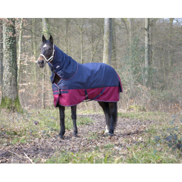 Copricollo Equithème Tyrex 1200 D 0g Marino / bordeaux Blu Copricollo Equithème Tyrex 1200 D 0g Marino / bordeaux Blu