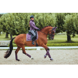 Pantaloni da equitazione Equestrian Stockholm Elite donna Grigio