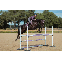 Pantaloni da equitazione Equestrian Stockholm Elite donna Grigio