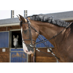 Gogue a carrucole Riding World