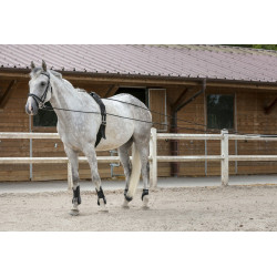 Redini lunghe Riding World cuoio / corda Redini lunghe Riding World cuoio / corda