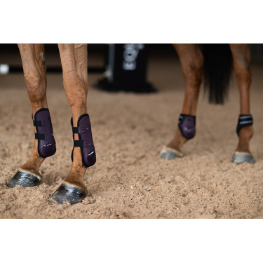 Paraglomi Equestrian Stockholm anatomici Nero corvino