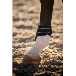 Paraglomi Equestrian Stockholm anatomici Tecnologia moderna marina Blu marino