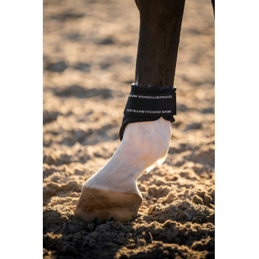 Paraglomi Equestrian Stockholm anatomici Tecnologia moderna marina Blu marino