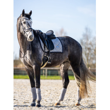 Sottosella da dressage Equestrian Stockholm Grigio cristallo