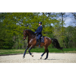 Sottosella da dressage Equestrian Stockholm con fasce in versione deluxe Argento Sottosella da dressage Equestrian Stockholm con fasce in versione deluxe Argento