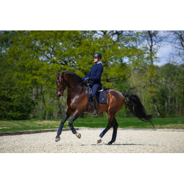 Sottosella da dressage Equestrian Stockholm con fasce in versione deluxe Argento Sottosella da dressage Equestrian Stockholm con fasce in versione deluxe Argento