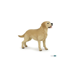 Figure labrador PAPO