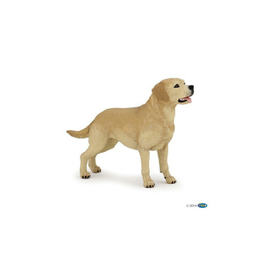 Figure labrador PAPO