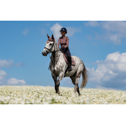 Sottosella Equestrian Stockholm jumping Amaranto