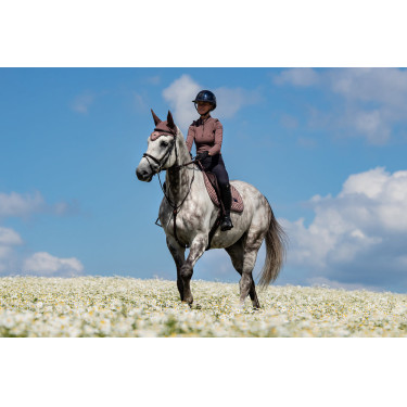 Sottosella Equestrian Stockholm jumping Amaranto