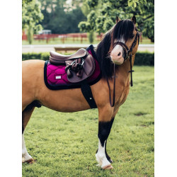 Sottosella Equestrian Stockholm jumping Fucsia scolorito Rosa