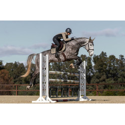 Sottosella Equestrian Stockholm jumping performance Chantelle