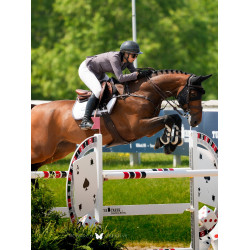 Sottosella Equestrian Stockholm jumping Modern Bianco viola scuro