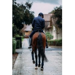 Giacca bomber Equestrian Stockholm da uomo Marina Blu marino