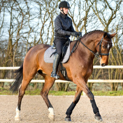 Ghette in neoprene Horze Supreme Nero Ghette in neoprene Horze Supreme Nero