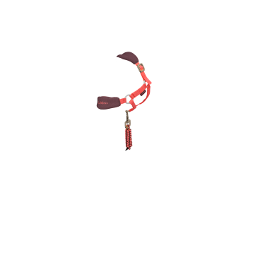 Capestro alla moda per giocattolo Mini Pony LeMieux