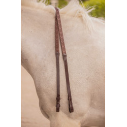 Redini Eden Pénélope Avana Marrone