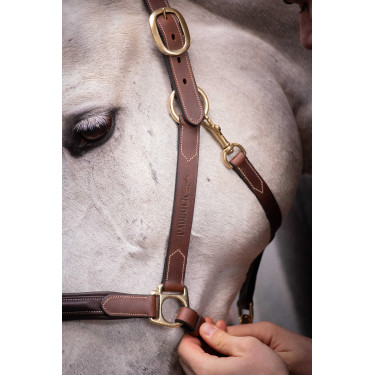 Capestro in cuoio con 3 moschettoni Paddock Sports Avana Marrone