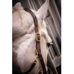 Capestro in cuoio con 3 moschettoni Paddock Sports Avana Marrone