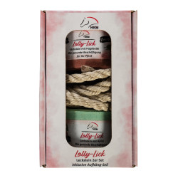 Blocco di sale aromatizzato Lolly Lick confezione da 2 HKM Rosa canina / mela