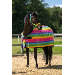 Coperta asciugante Rainbow per shetland HKM Righe multicolori