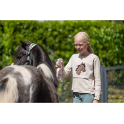 Spray districante Fiona HKM Rosa