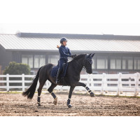 Cintura in pelle Arezzo Lauria Garrelli Indaco Blu Cintura in pelle Arezzo Lauria Garrelli Indaco Blu