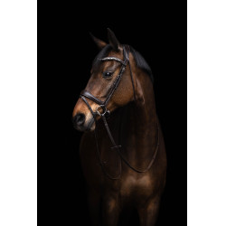 Briglia Arezzo Lauria Garrelli Marrone scuro