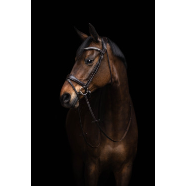 Briglia Arezzo Lauria Garrelli Marrone scuro