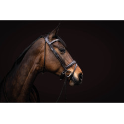 Briglia Arezzo Lauria Garrelli Marrone scuro