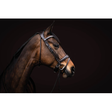 Briglia Arezzo Lauria Garrelli Marrone scuro