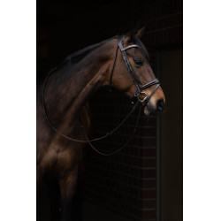 Briglia Arezzo Lauria Garrelli Marrone scuro