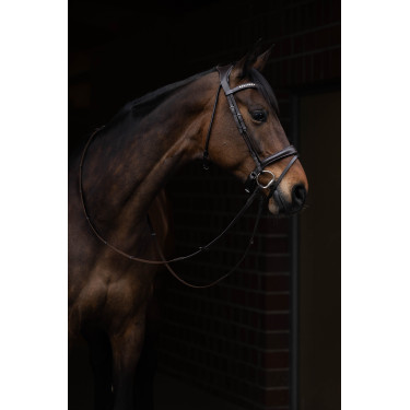 Briglia Arezzo Lauria Garrelli Marrone scuro