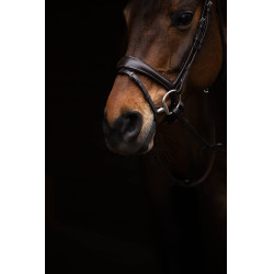 Briglia Arezzo Lauria Garrelli Marrone scuro