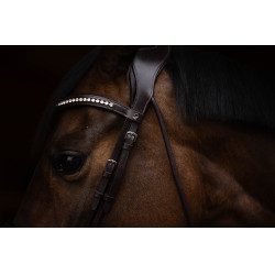 Briglia Arezzo Lauria Garrelli Marrone scuro