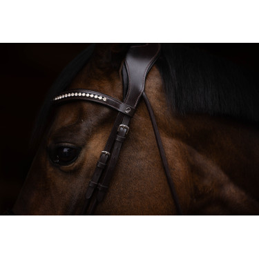 Briglia Arezzo Lauria Garrelli Marrone scuro