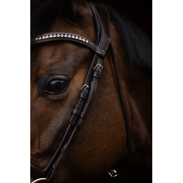 Briglia Arezzo Lauria Garrelli Marrone scuro