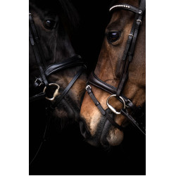 Briglia Arezzo Lauria Garrelli Marrone scuro