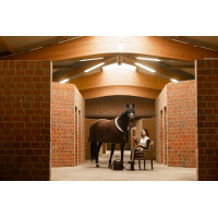 Coperta asciugante Arezzo Lauria Garrelli Marrone scuro